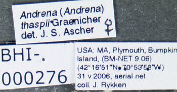 Media type: image;   Entomology 609592 Aspect: labels